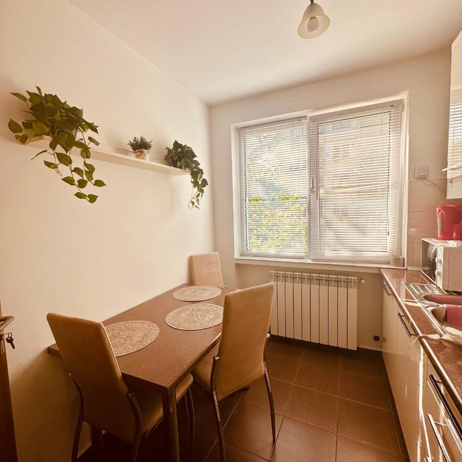 Sweet Apartament Baia Mare Exterior foto